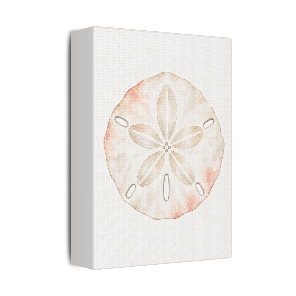 Watercolor Sand Dollar Satin Canvas