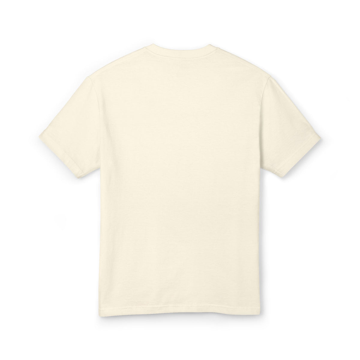 St. Pete Pelican Tee — Vintage Florida Beach T‑Shirt