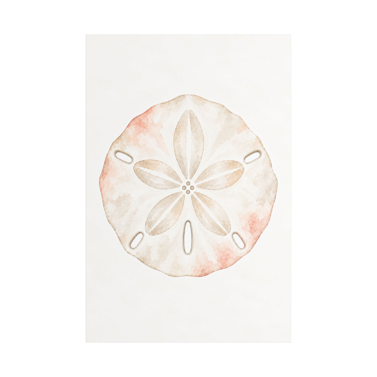 Watercolor Sand Dollar Satin Canvas